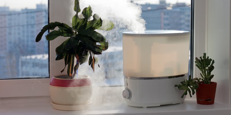 Humidifiers in Salisbury, North Carolina